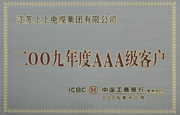 壹定发荣获“中国工商银行2009年度AAA级客户”称呼