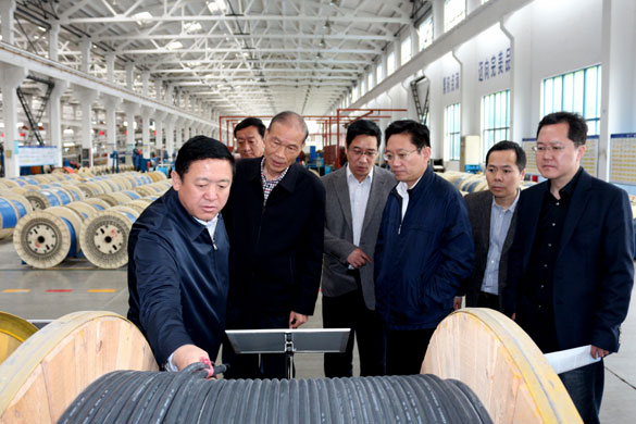 4月25日，青海省海南州州长来壹定发电缆考察