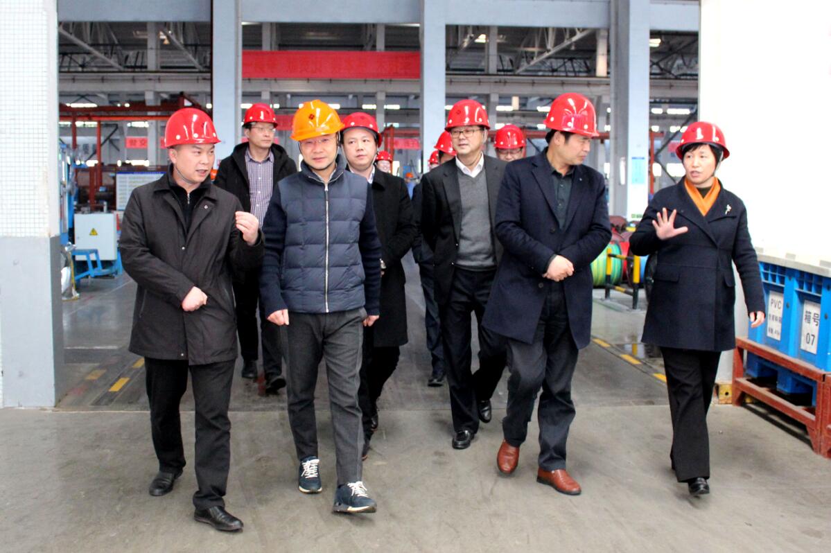 2019年3月7日，广安市岳池县考察团来壹定发电缆旅行考察