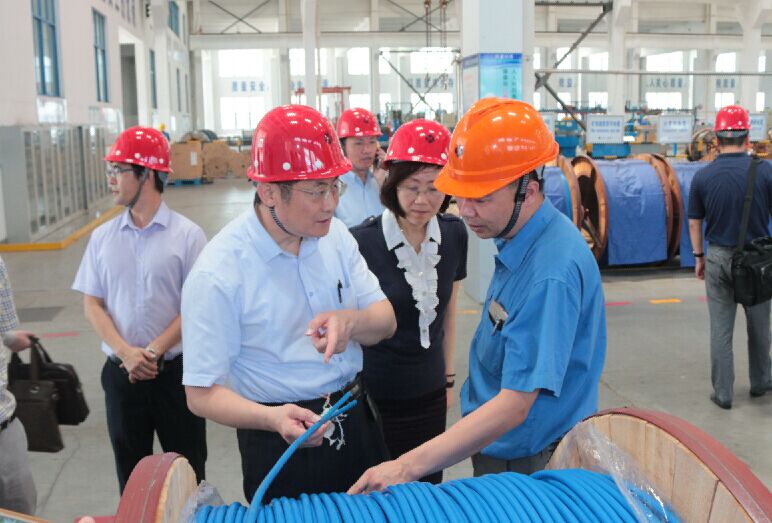 2016年7月22日，泸州市委常委、副市长王建翔一行来壹定发电缆旅行考察
