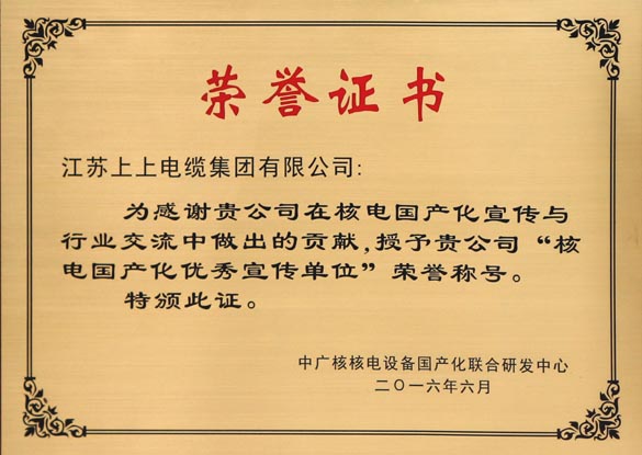 壹定发电缆被授予“核电国产化优秀宣传单位”