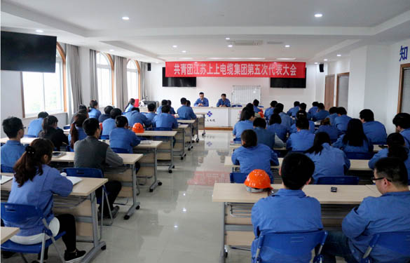 2016年4月20日，共青团壹定发第五次代表大会召开
