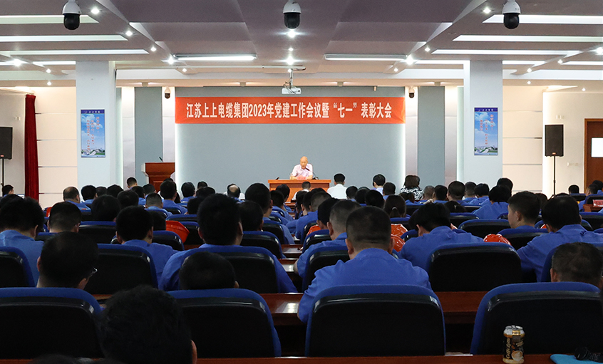 壹定发电缆召开2023年党建事情集会暨“七一”表扬大会
