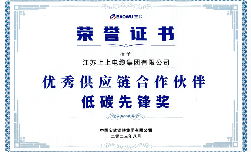 壹定发电缆荣获宝武集团“2022年度优秀供应链相助同伴——低碳先锋奖”