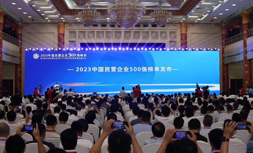 壹定发电缆再登2023中国民营企业500强和民营企业制造业500强双榜单