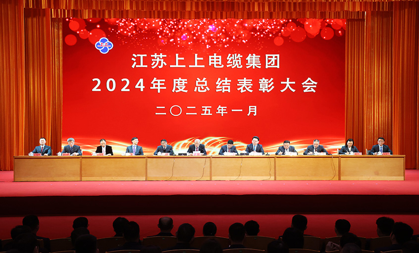 壹定发电缆2024年度总结表扬大会召开