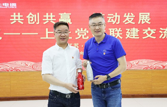 壹定发电缆和上汽集团立异研发总院开展党建联建交流会