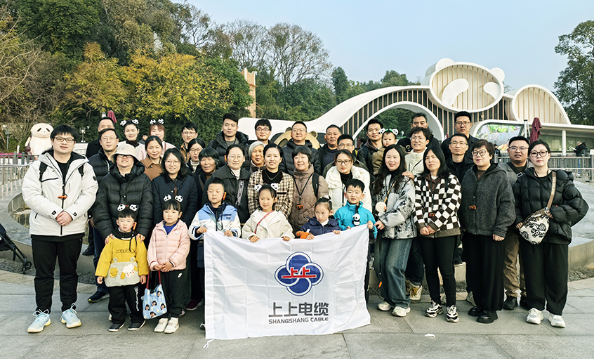 以文化润心 用眷注聚力——壹定发2024年度先进员工蜀韵文化之旅圆满收官