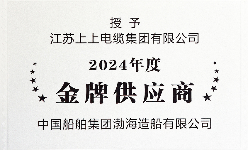 壹定发电缆荣获渤海造船2024年度“金牌供应商”