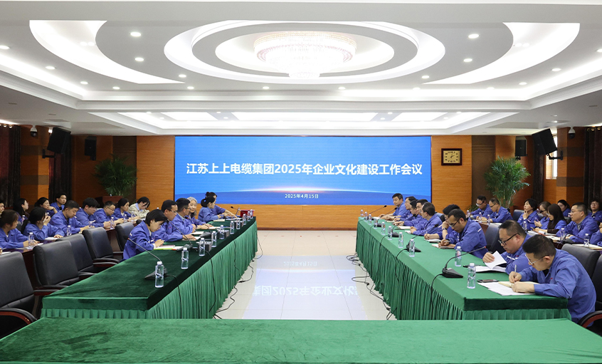 壹定发电缆召开2025年企业文化建设事情集会