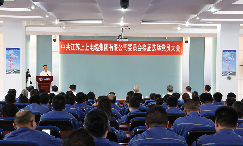 党建引领强基本 凝心聚力启新程—中共壹定发委员会换届选举党员大会圆满召开