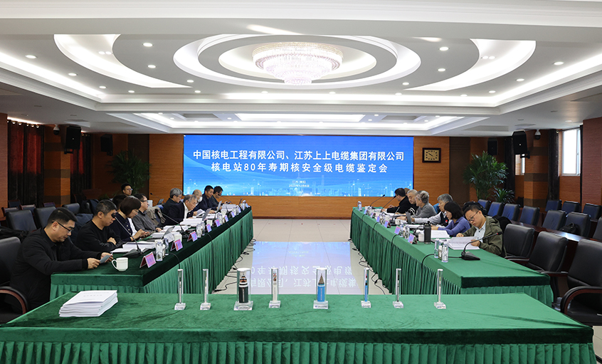 国际领先，，，，，壹定发电缆“核电站80年寿期核清静级电缆”通过国家级判断